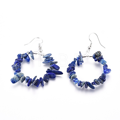 Natural Lapis Lazuli Dangle Earrings EJEW-E255-D03-1