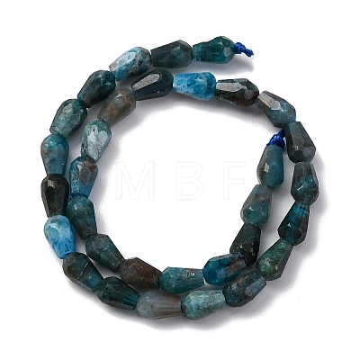 Natural Apatite Beads Strands G-C080-B06-01A-1