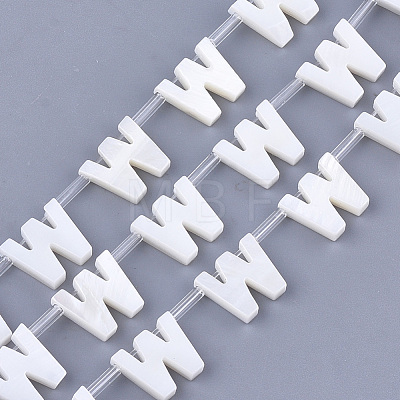 Natural Freshwater Shell Beads SHEL-T012-59W-1