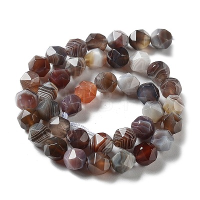 Natural Botswana Agate Beads Strands G-NH0002-C01-03-1