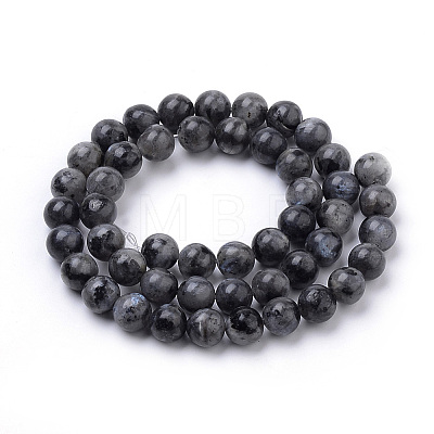 Natural Larvikite Beads Strands X-G-S259-06-12mm-1