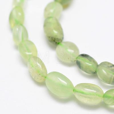 Natural Prehnite Beads Strands G-F521-29-1