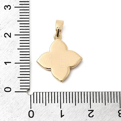 Natural Shell & Clear Cubic Zirconia Pendants KK-G553-13G-1