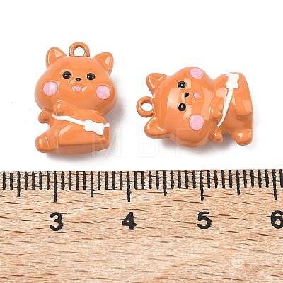 Baking Paint Alloy Pendants FIND-G109-02-1