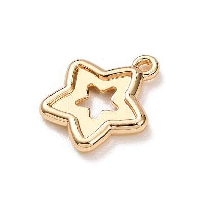 Alloy Pendants FIND-G116-02A-G-1