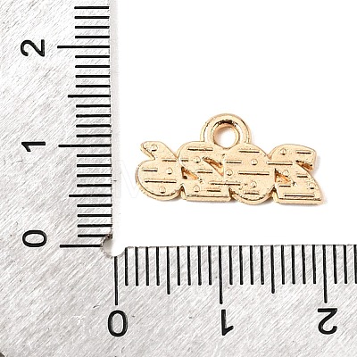 Alloy Enamel Pendants ENAM-D319-01KCG-04-1