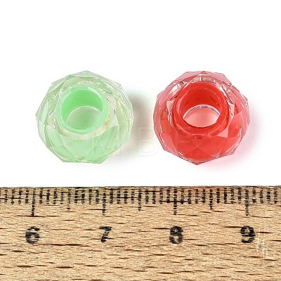 Resin European Beads RESI-Q236-01A-15-1