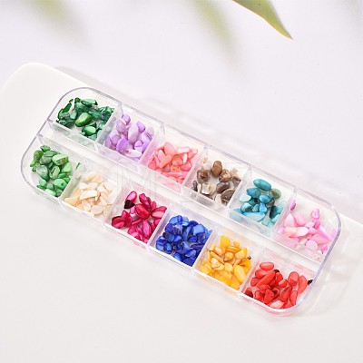 12G Dyed Crushed Shell Chips Nail Flakies Decoration MRMJ-E004-02-1