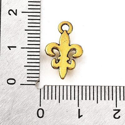 Tibetan Style Alloy Pendants LS-TIBE-L008-15AG-1