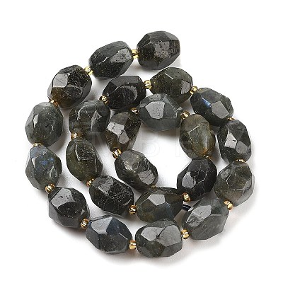 Natural Labradorite Beads Strands G-P541-A01-08-1