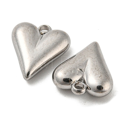 304 Stainless Steel Charms STAS-L022-108P-07-1