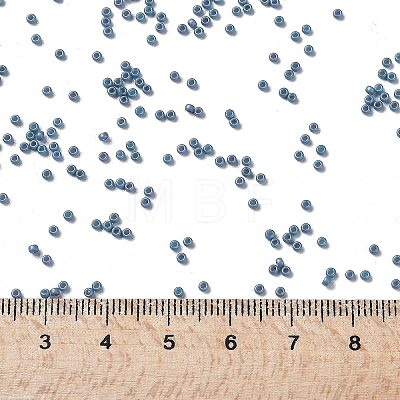 MIYUKI Round Rocailles Beads X-SEED-G009-RR2030-1