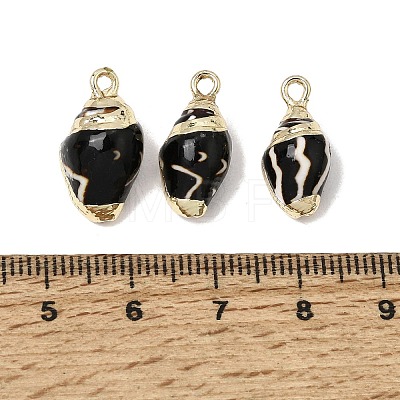 Brass & Natural Shell Pendants SH-CBA27C9-13-1