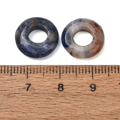 Natural Sodalite European Beads G-C134-01K-1