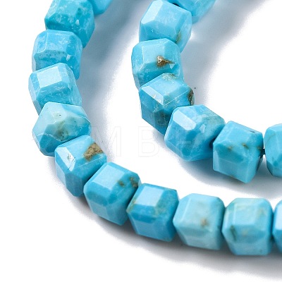 Natural Howlite Beads Strands G-G001-A03-04-1