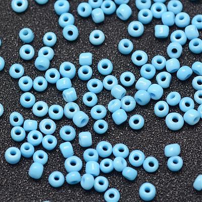 6/0 Glass Seed Beads SEED-J014-F6-43-1