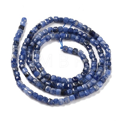Natural Sodalite Beads Strands G-E608-B08-1