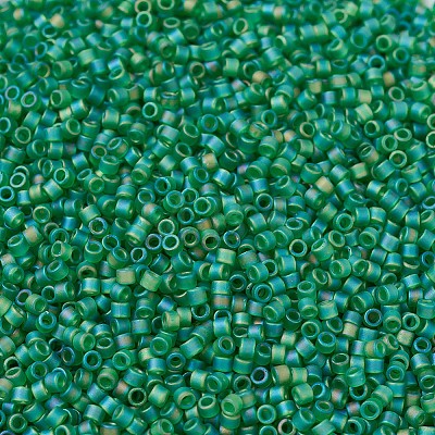 MIYUKI Delica Beads SEED-MY11-DB0858-1