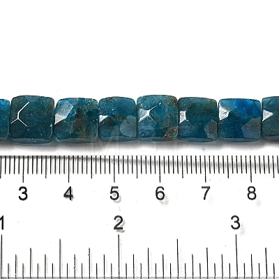 Natural Apatite Beads Strands G-C109-A13-02-1