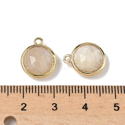Natural Moonstone Faceted Flat Round Charms G-U028-03G-13-1