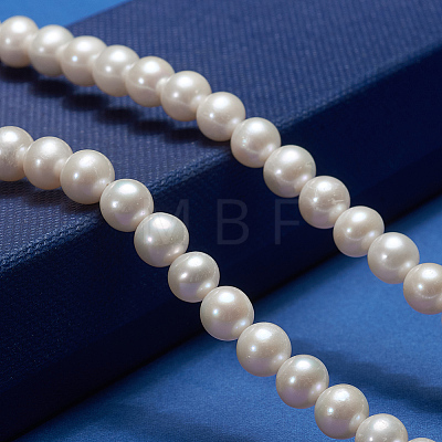 Natural Cultured Freshwater PearlBeads Strands PEAR-E002-04-01-1