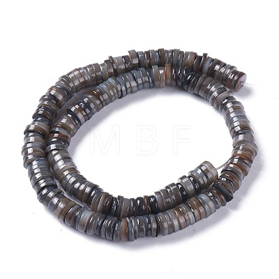 Natural Freshwater Shell Beads Strands BSHE-I016-04A-1