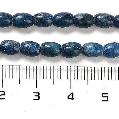 Natural Dolomite Beads Strands G-F765-A03-01-1