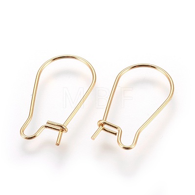 304 Stainless Steel Hoop Earrings STAS-P227-13G-1