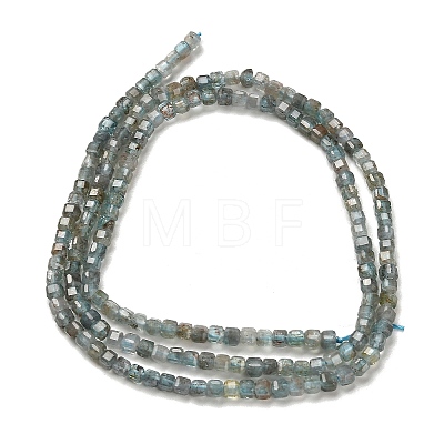 Natural Apatite Beads Strands G-B107-C01-01-1