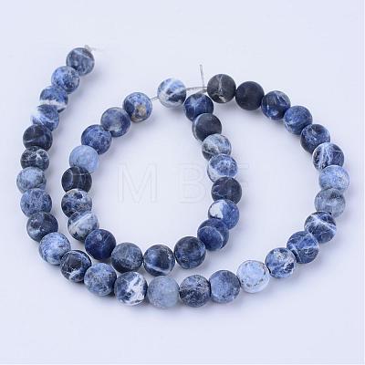Natural Sodalite Beads Strands G-Q462-6mm-07-1