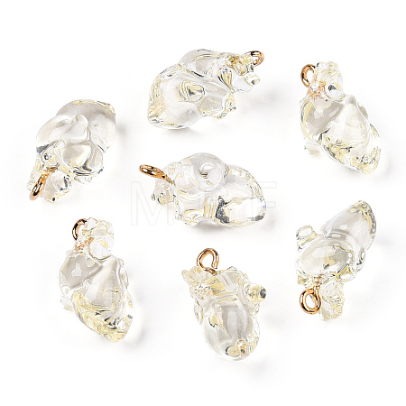 Transparent Resin Pendants RESI-E028-01G-09-1