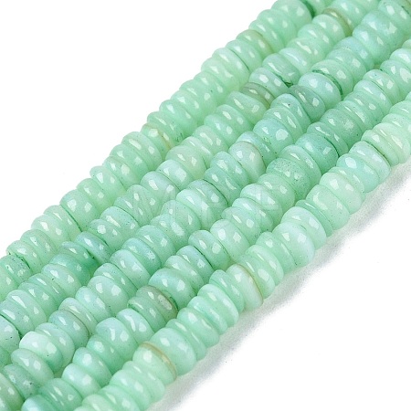 Natural Freshwater Shell Beads Strands SHEL-Q028-01F-1