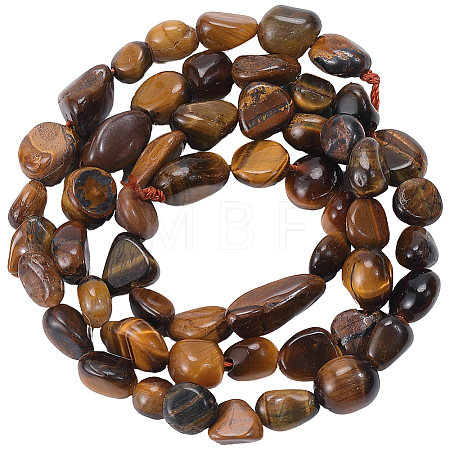 1 Strand Natural Tiger Eye Beads Strands G-PA0002-66-1