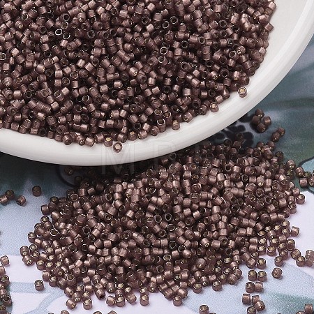 MIYUKI Delica Beads X-SEED-J020-DB2183-1