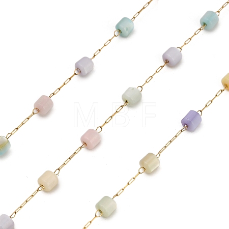Handmade 304 Stainless Steel Dyed Shell Beads Cube Link Chains CHS-B011-03C-G-1