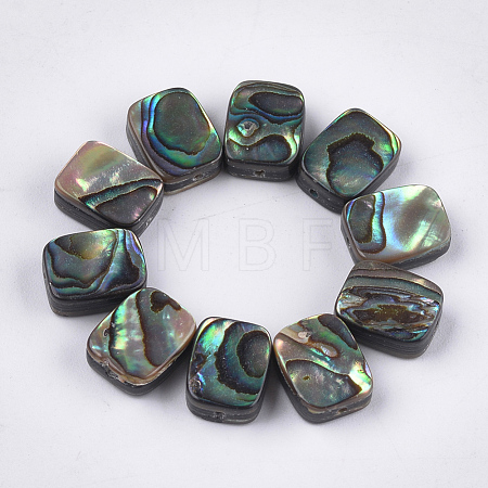 Abalone Shell/Paua Shell Beads SSHEL-T008-05-1