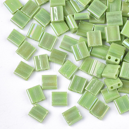 2-Hole Glass Seed Beads SEED-S023-19C-03-1