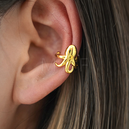 304 Stainless Steel Clip-on Earrings WG1F46C-01-1