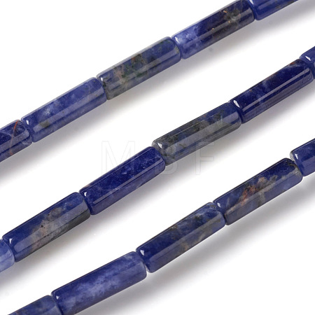 Natural Sodalite Beads Strands X-G-F247-30-1