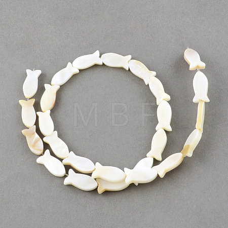 Natural Sea Shell Beads Strands X-SSHEL-Q296-39-1