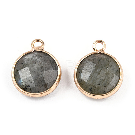 Natural Labradorite Charms G-Q998-026E-1