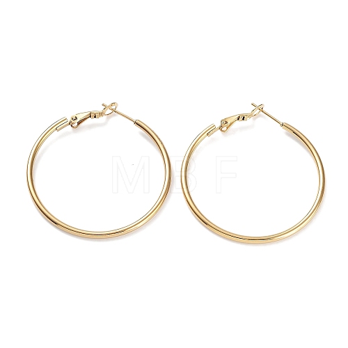 Ring 304 Stainless Steel Hoop Earrings for Women Men EJEW-B049-02D-G-1