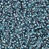 TOHO Round Seed Beads X-SEED-TR15-0263-2