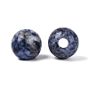 Natural Blue Spot Jasper European Beads G-Q602-09C-07-2