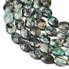 Natural African Turquoise(Jasper) Beads Strands G-H349-A01-16-4