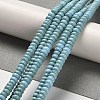 Natural Turquoise Beads Strands G-M422-B01-01-3