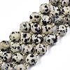 Natural Dalmatian Jasper Beads Strands X-G-N326-100-02-1