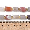 Natural Botswana Agate Beads Strands G-C270-K16-5