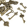 Tibetan Style Alloy Pendants FIND-D040-01AB-2
