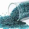 TOHO Round Seed Beads X-SEED-TR15-0027BD-1